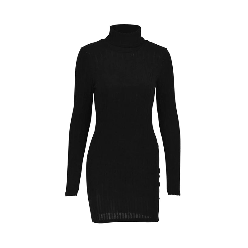 Turtleneck Knit Mini Dress