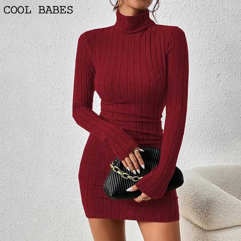 Turtleneck Knit Mini Dress