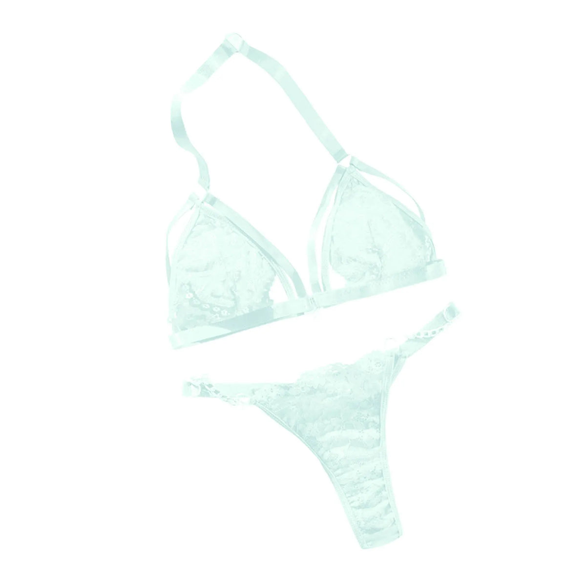 Elegant Embroidered Lace Lingerie Set